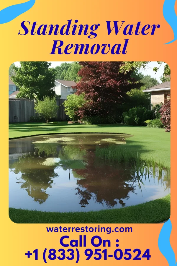Standing Water Removal in Hallowell, ME